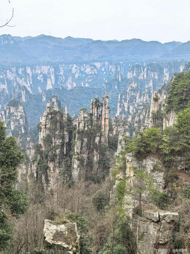 规旅行社靠谱价格速看！张家界旅游团报价5日正(图3)