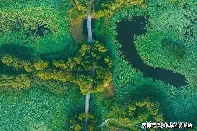 测-鹿溪雅园售楼中心详情户型 小区配套鹿溪雅园售楼处欢迎您 2025楼盘评(图41)